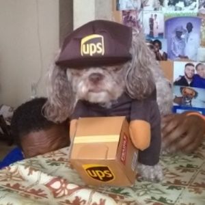 Adorable!!!..and the dog's not too shabby either!